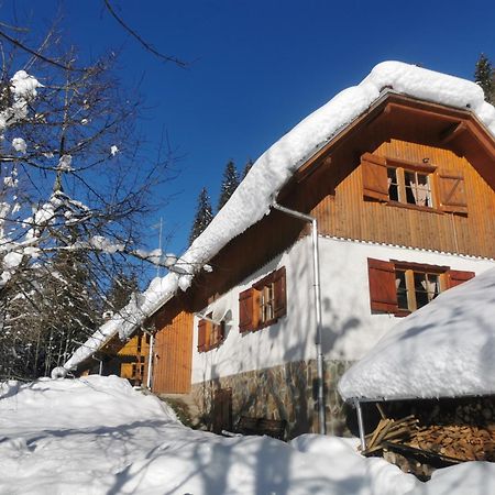 Pohorje House 2 Four Appartmetns Oplotnica Luaran gambar