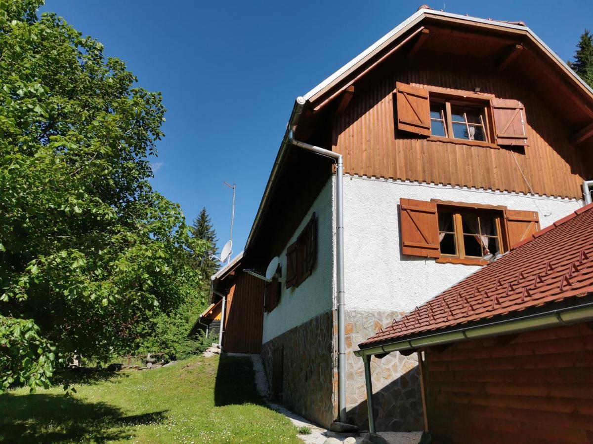 Pohorje House 2 Four Appartmetns Oplotnica Luaran gambar
